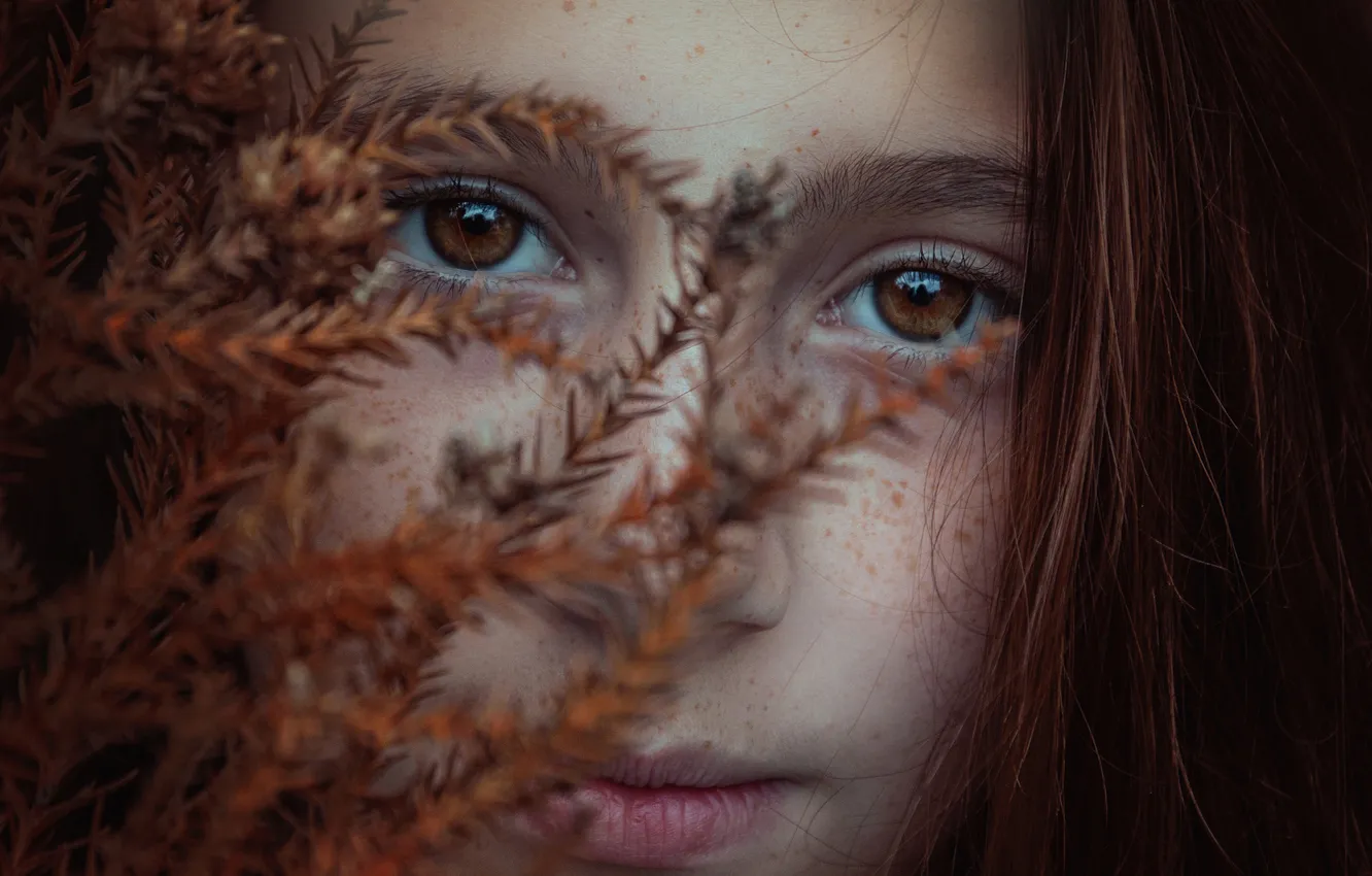 Photo wallpaper autumn, freckles, brown-eyed, Brookie
