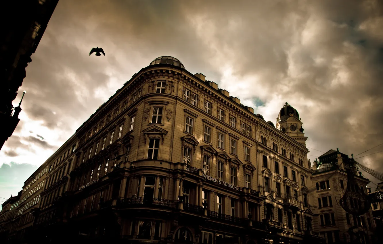 Photo wallpaper flight, the city, bird, Austria, architecture, Vienna