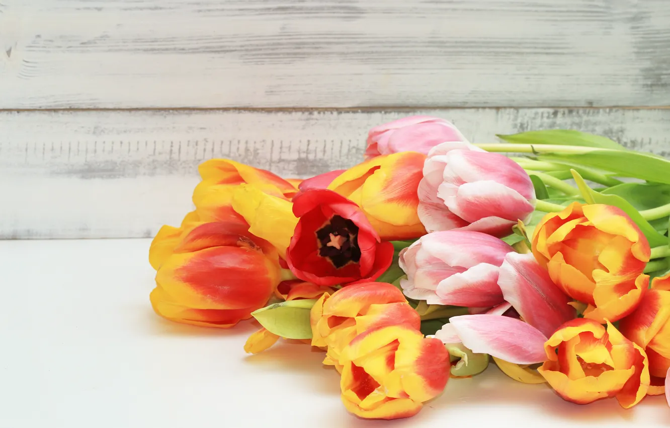 Photo wallpaper flowers, colorful, tulips, fresh, wood, flowers, beautiful, tulips