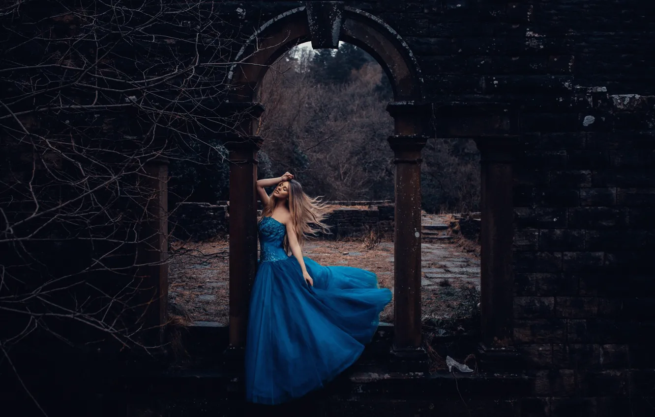 Photo wallpaper girl, dress, Cinderella, Bird Man