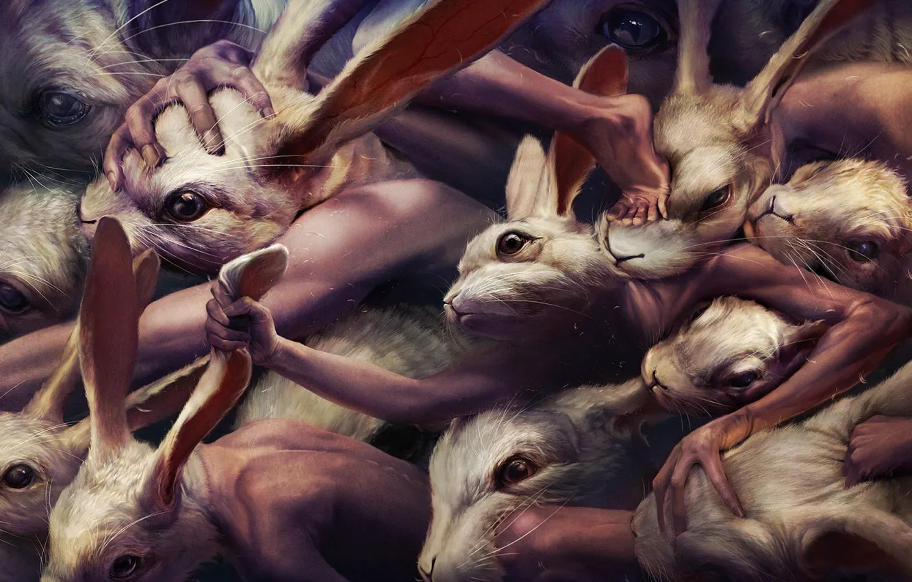 Photo wallpaper fight, rabbits, mutants, ryohei hase