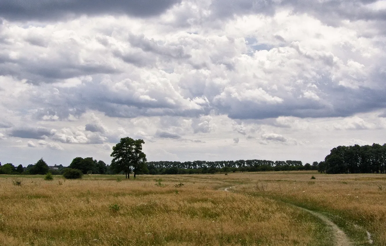 Photo wallpaper field, summer, clouds
