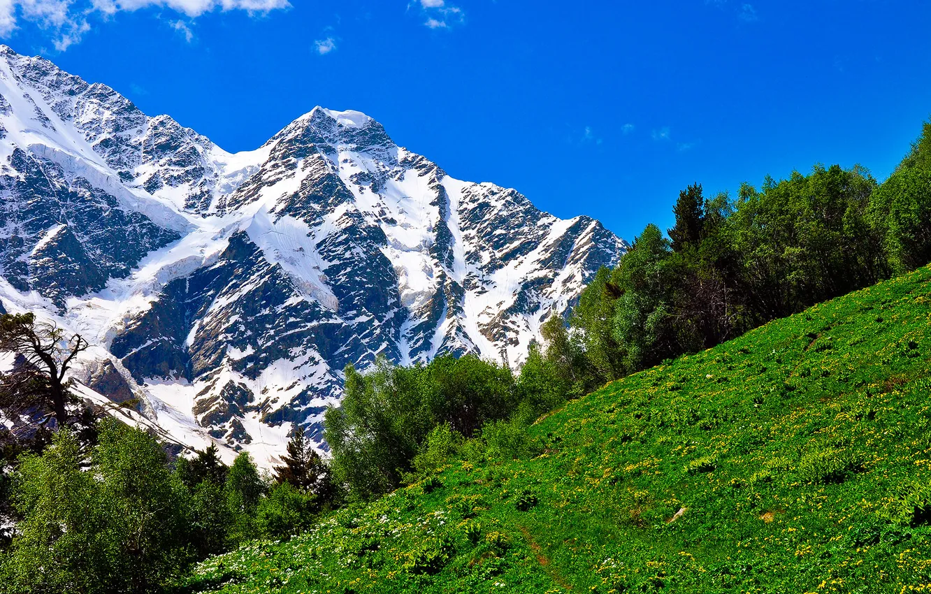 Wallpaper mountains, nature, meadow, Russia, the Caucasus, Dombay for ...