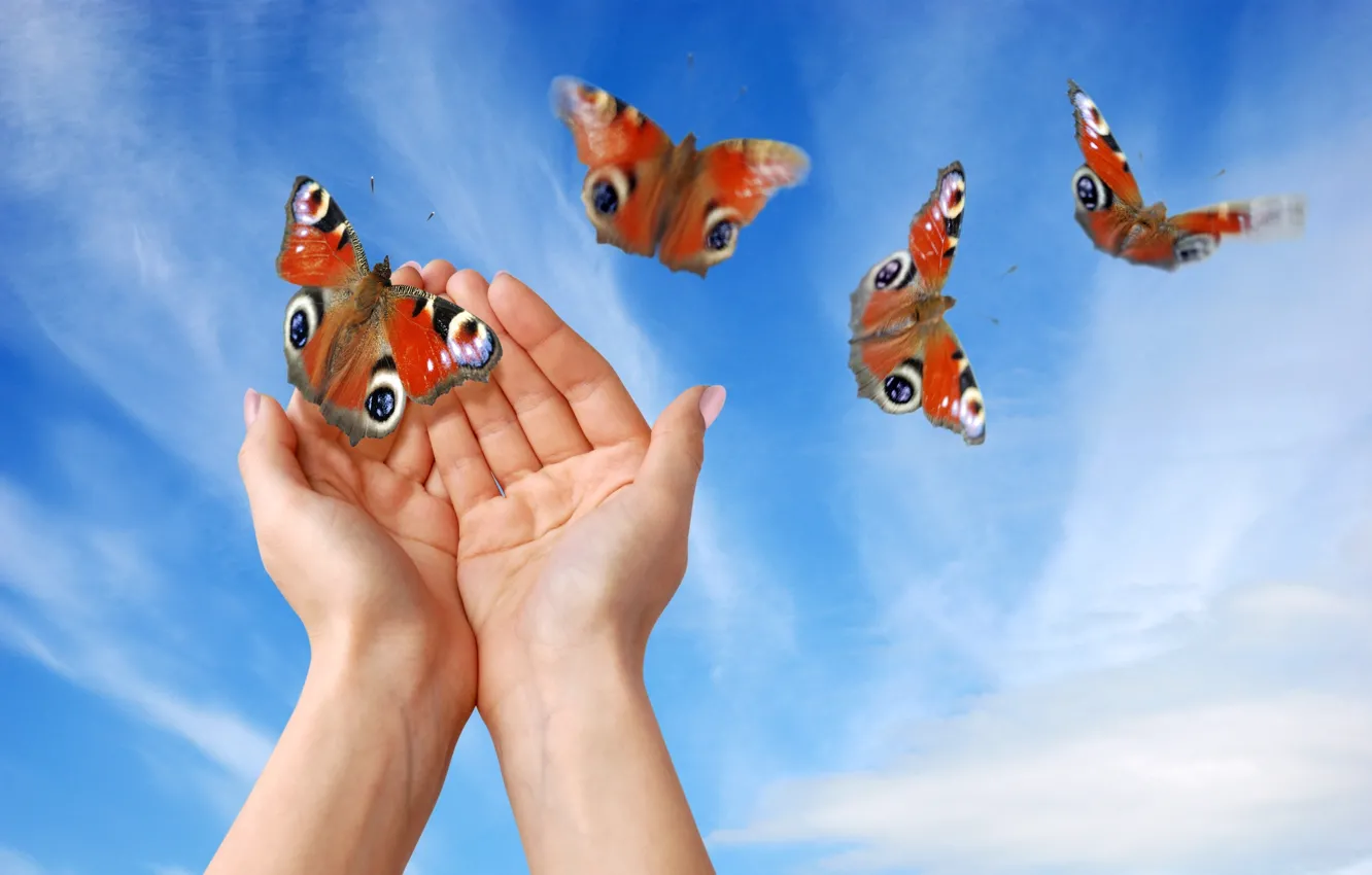 Photo wallpaper the sky, butterfly, hands