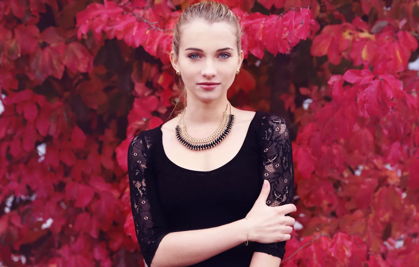 Photo wallpaper look, girl, portrait, Sheila