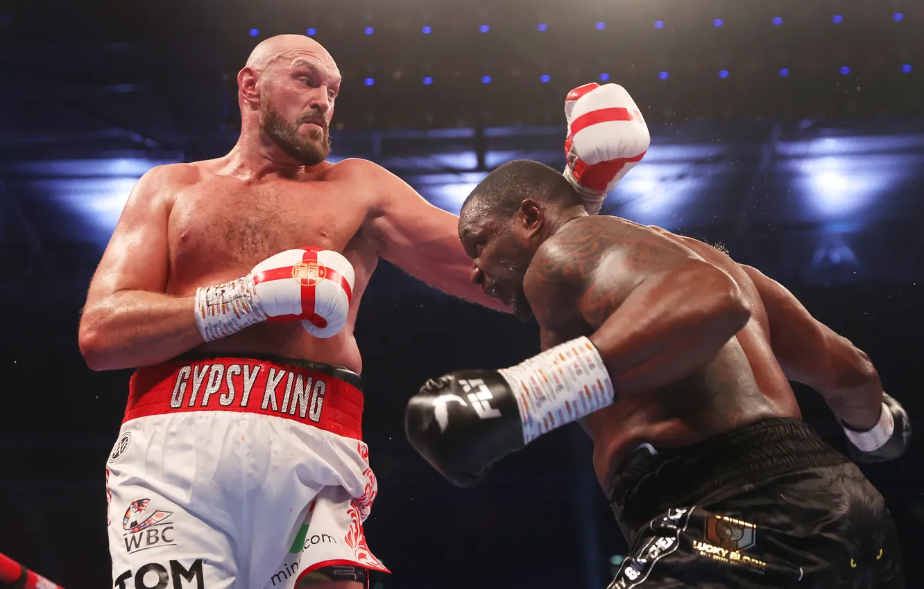 Photo wallpaper Boxing, Tyson Fury, Dillian White, The Gypsy King