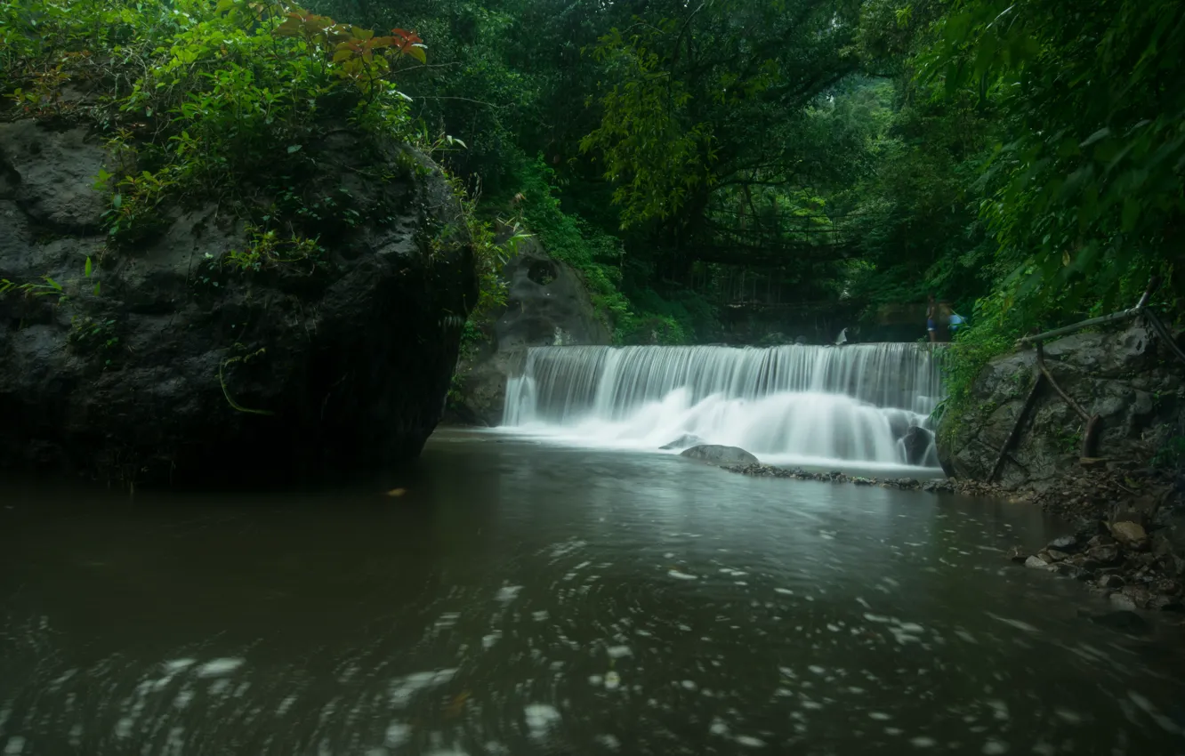 Photo wallpaper greens, forest, thickets, foliage, waterfall, pond