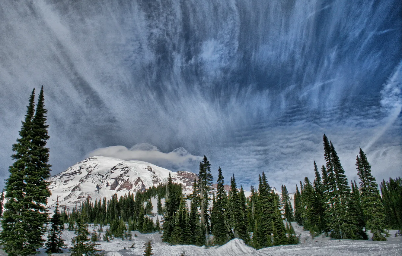 Photo wallpaper winter, forest, the sky, clouds, snow, mountains, nature, spruce