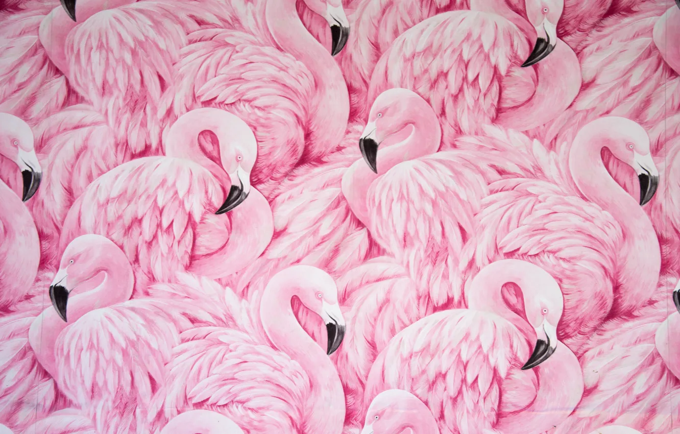 Photo wallpaper bird, figure, Flamingo, print