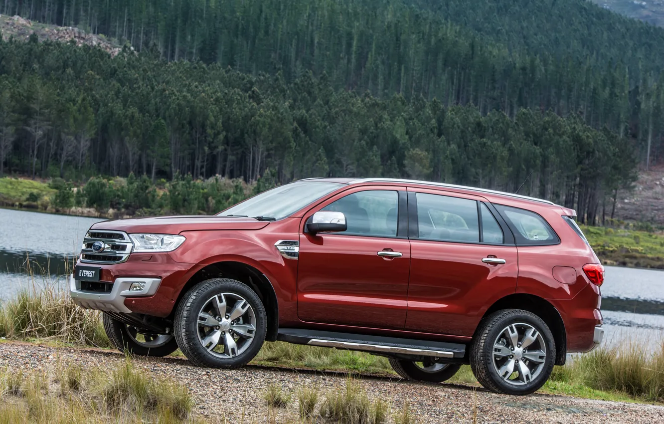 Photo wallpaper forest, Ford, side, Everest, Limited, 4WD, 2015