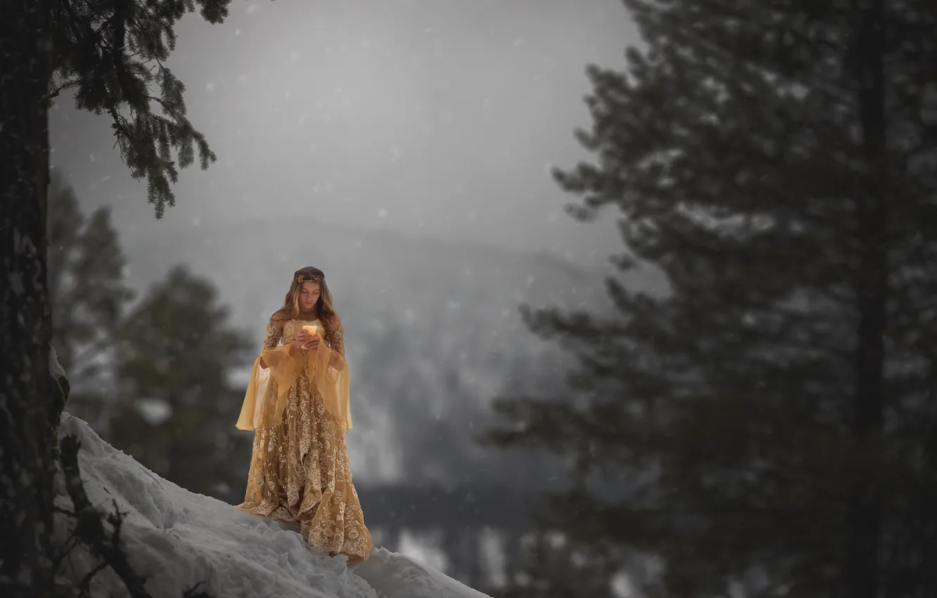 Photo wallpaper winter, forest, girl, snow, trees, mountains, branches, fog