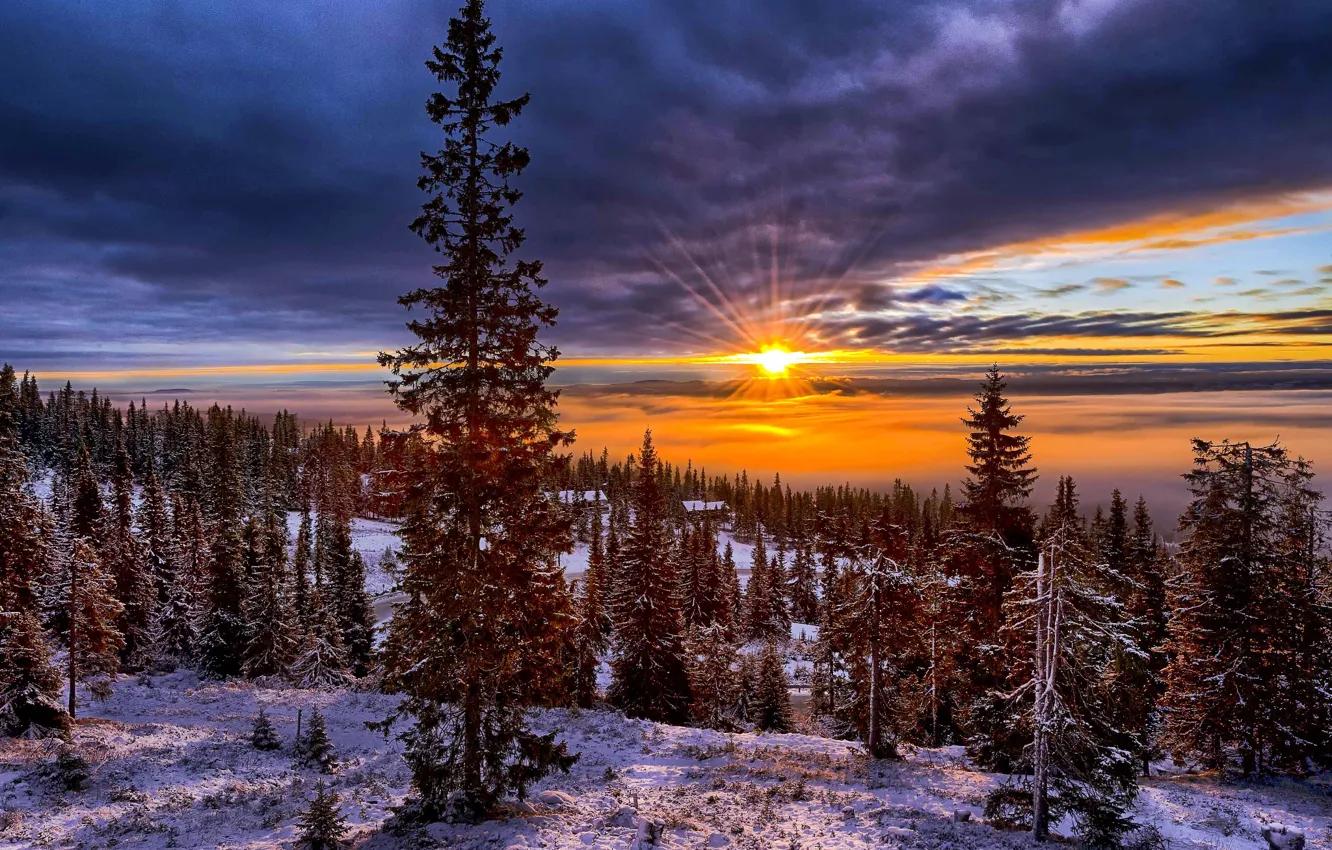 Photo wallpaper winter, the sky, the sun, snow, trees, landscape, sunset, mountains