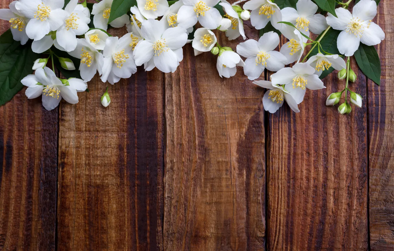 Photo wallpaper flowers, spring, white, white, flowering, wood, blossom, flowers