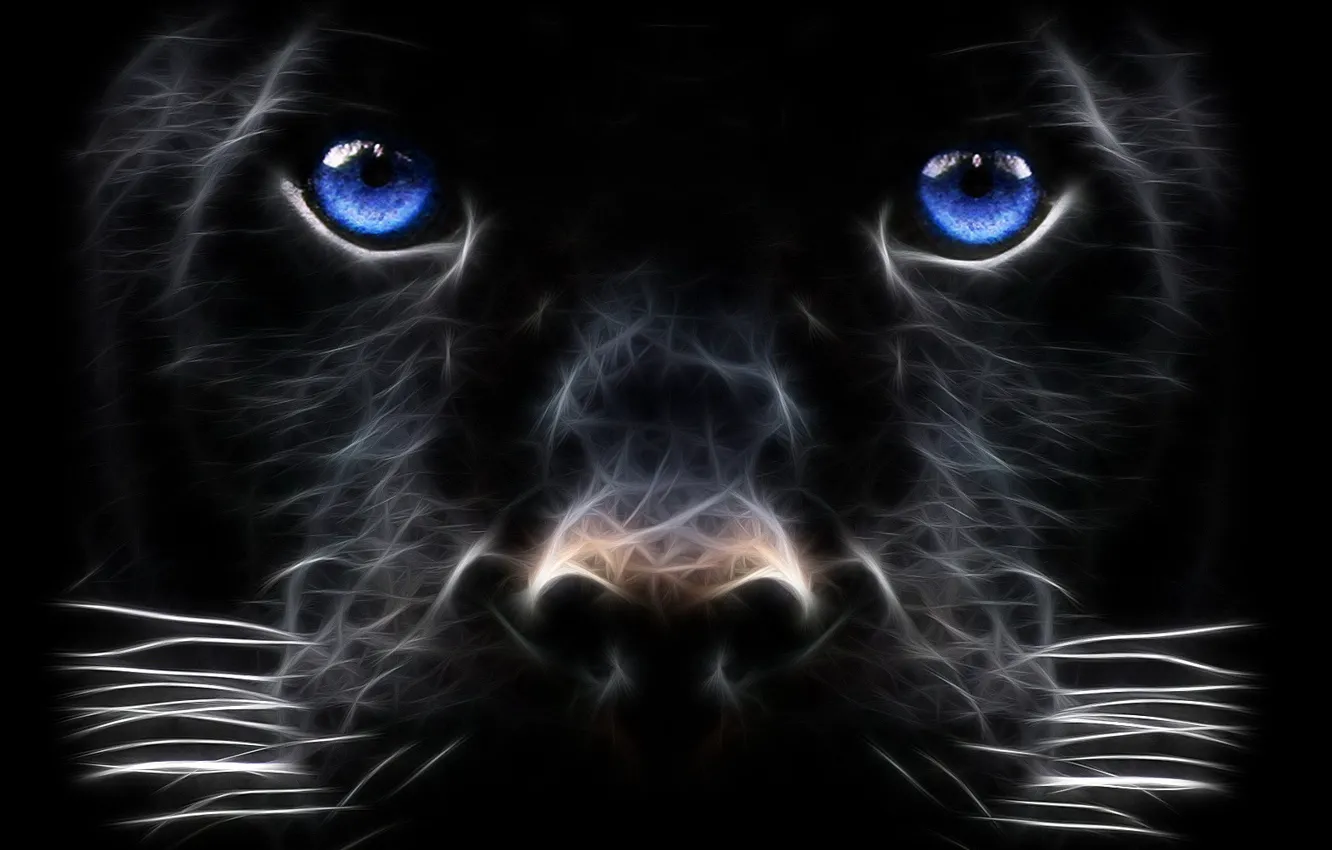 Photo wallpaper eyes, mustache, look, treatment, 152