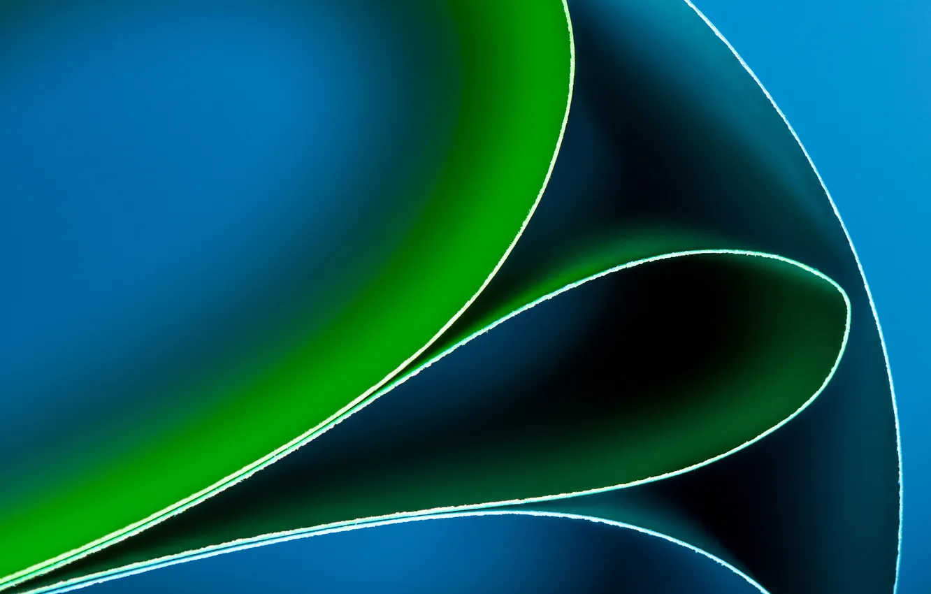 Photo wallpaper leaves, paper, color, curves