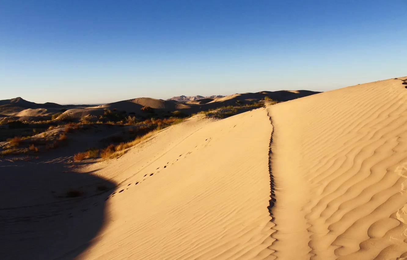 Photo wallpaper shadow, horizon, dunes, track, desert, blue sky