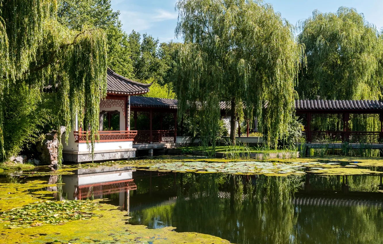 Photo wallpaper trees, pond, Park, reflection, Germany, pagoda, Sunny, Berlin