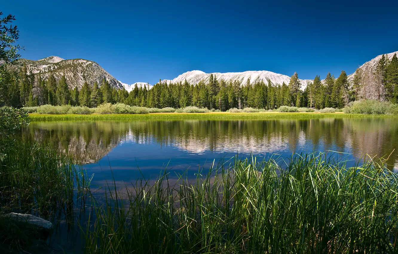 Photo wallpaper summer, mountains, lake, the reeds, day