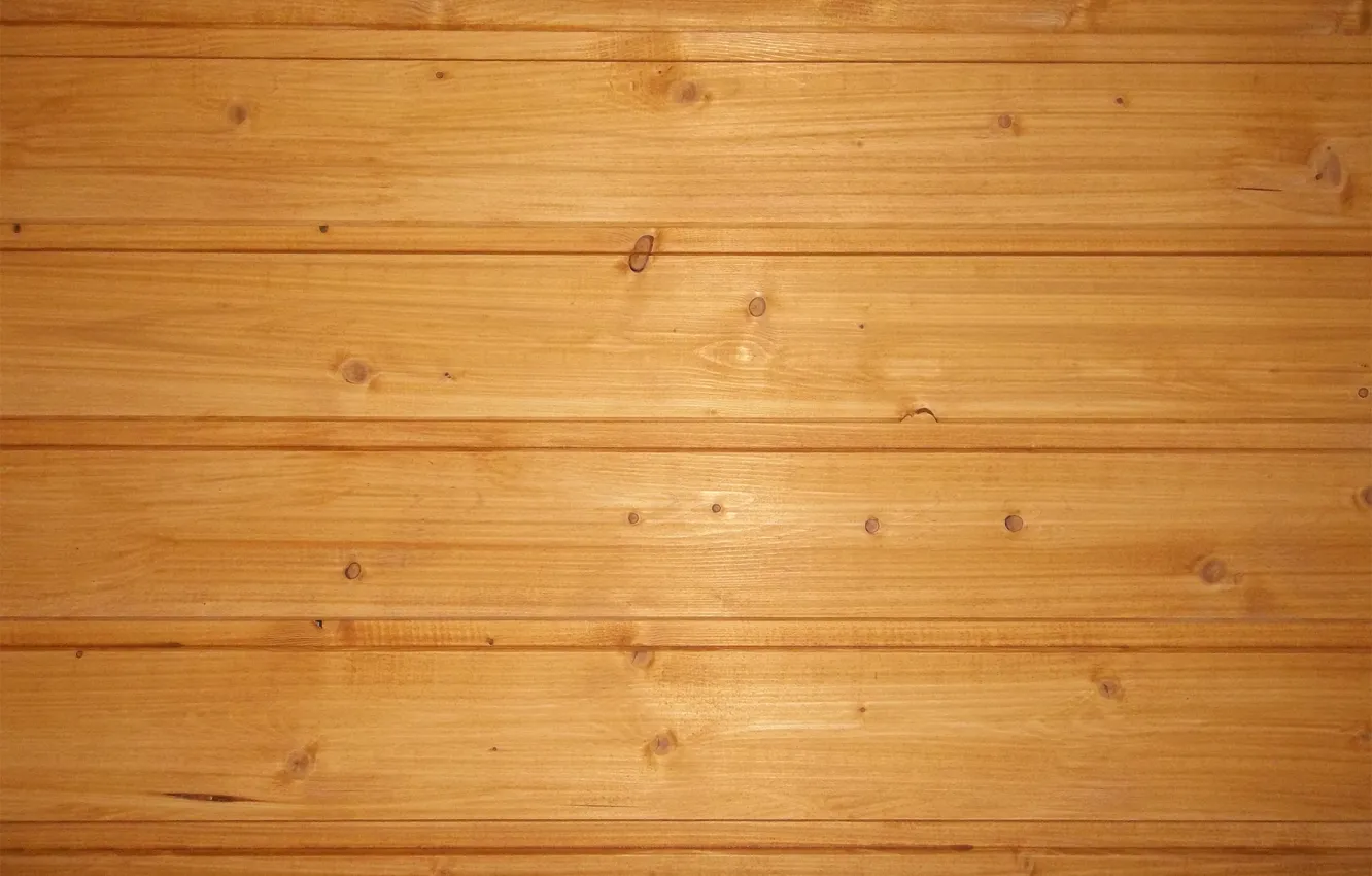 Photo wallpaper trees, background, creativity, lining