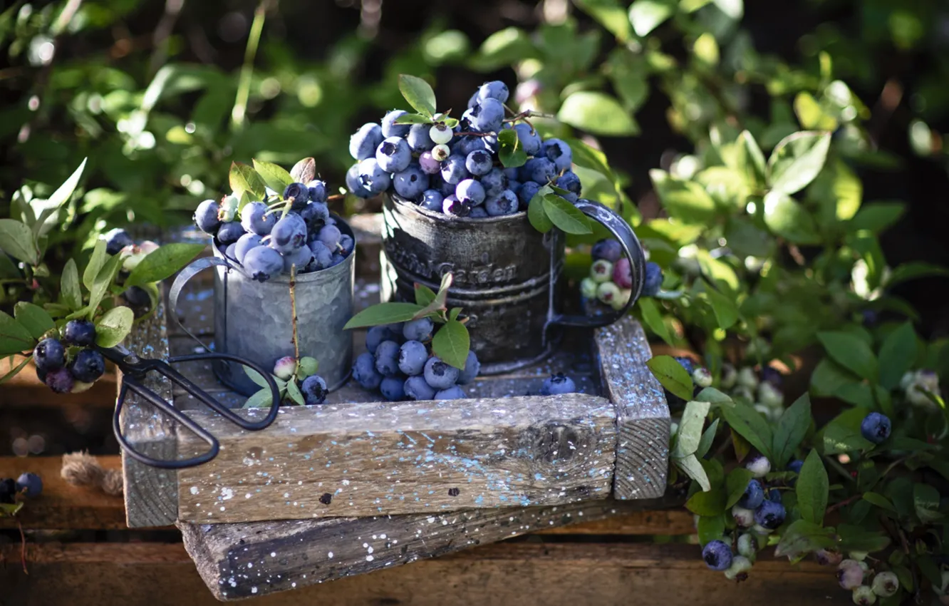 Photo wallpaper berries, box, blueberries