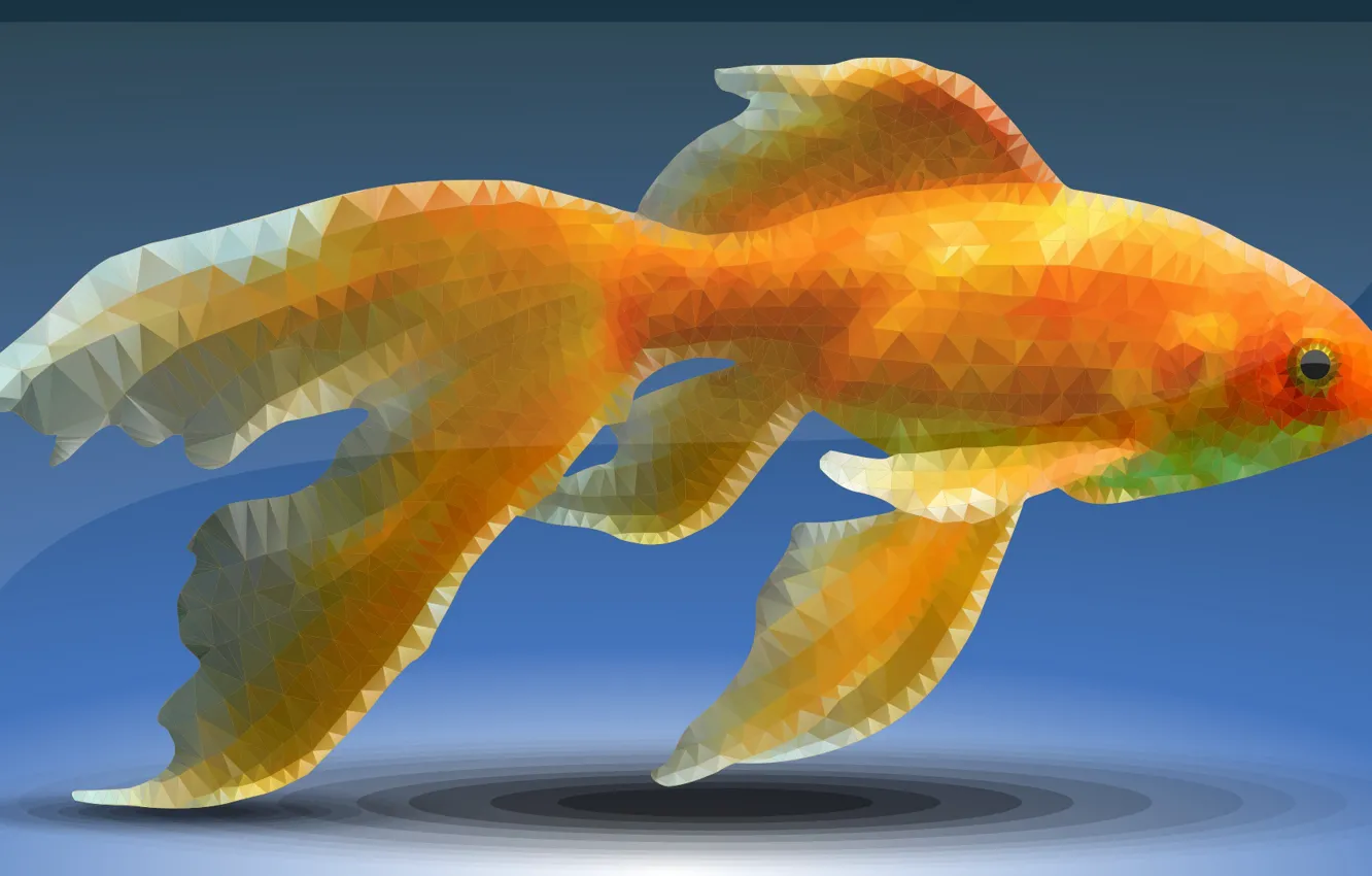 Photo wallpaper fish, goldfish, low poly
