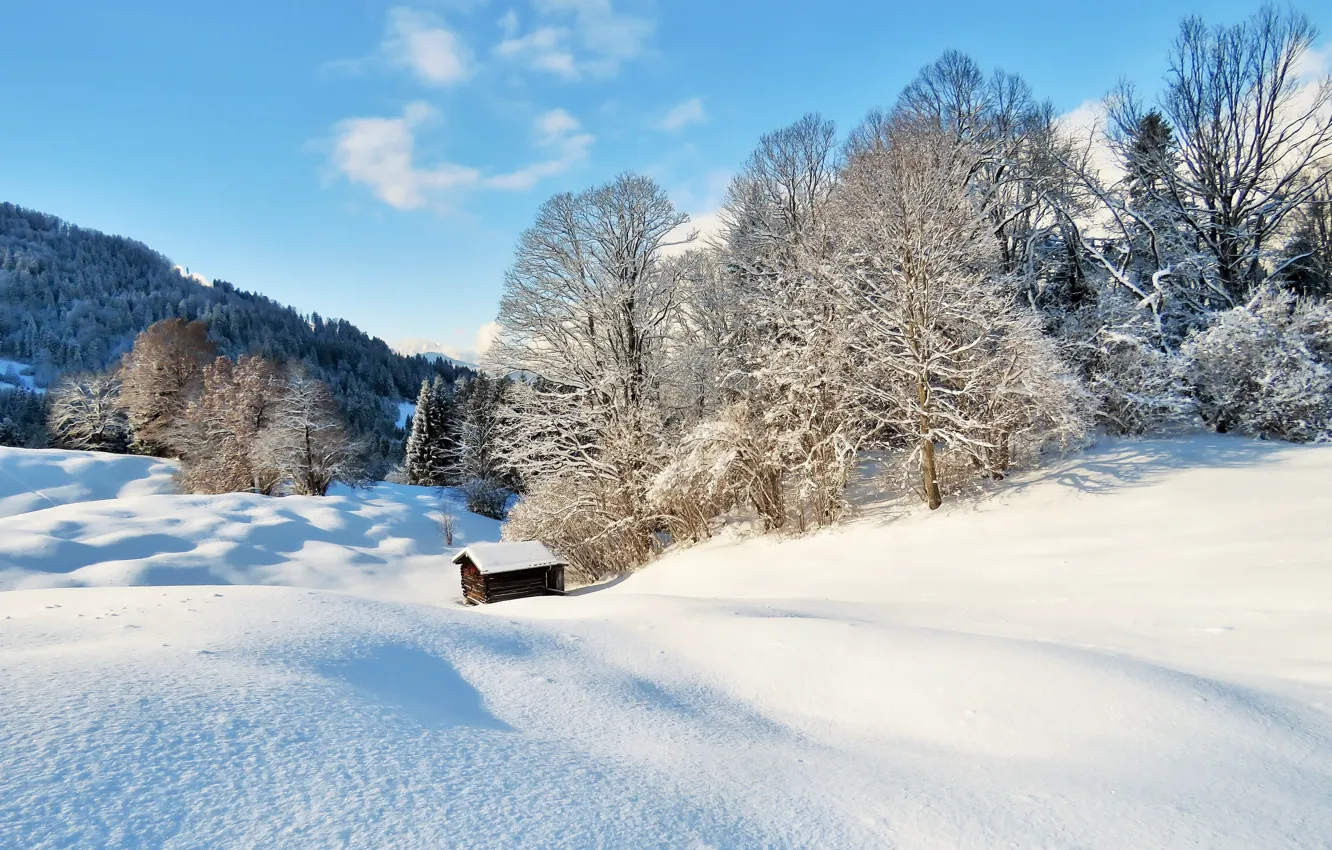 Photo wallpaper winter, snow, home