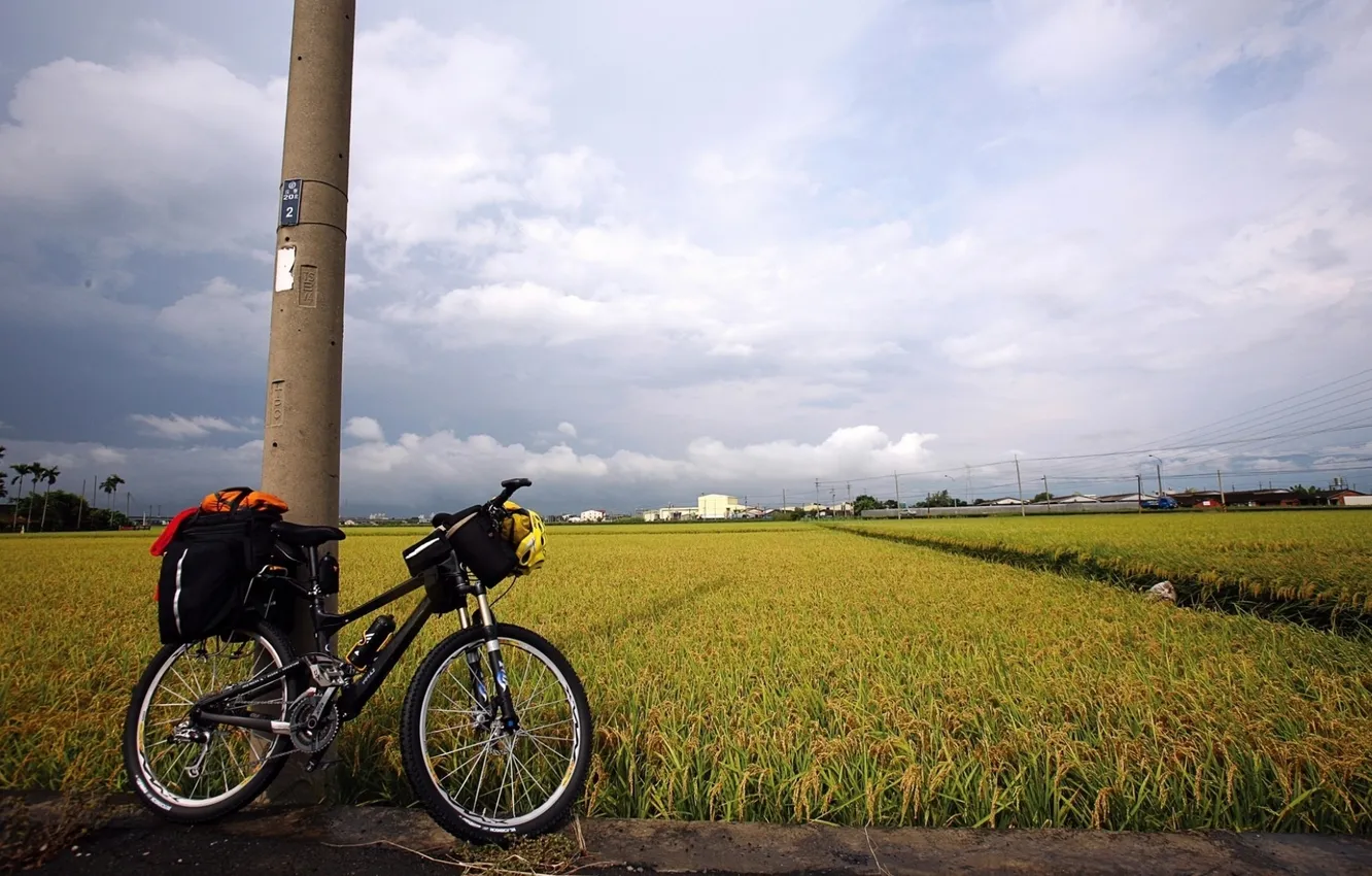 Photo wallpaper field, the sky, clouds, bike