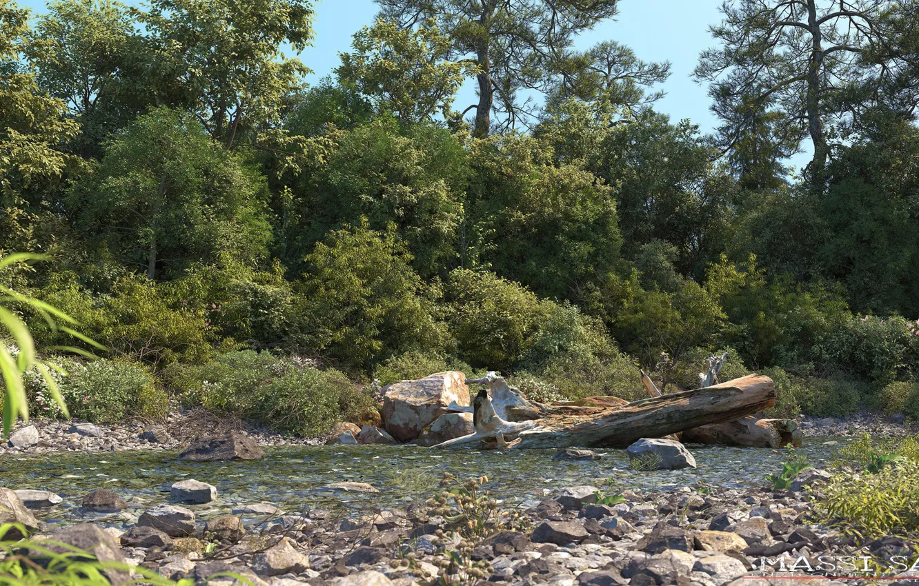 Photo wallpaper river, shore, vegetation, log, creek