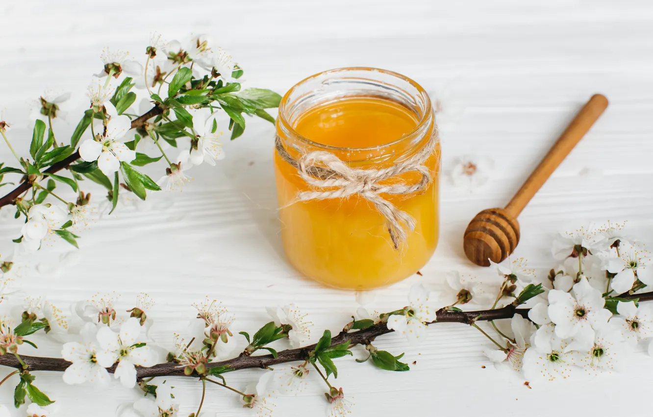 Photo wallpaper flowers, branches, spring, honey