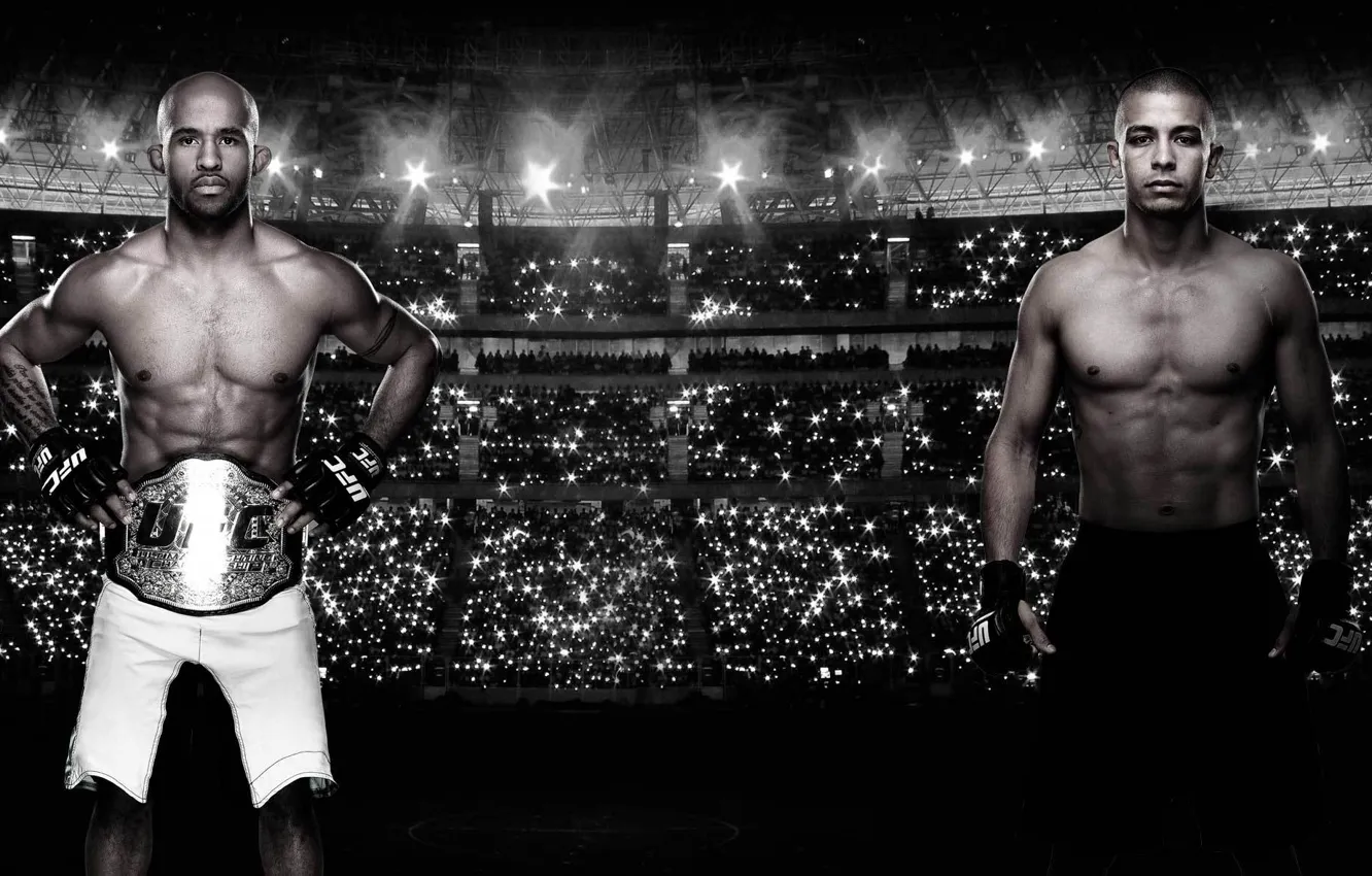 Photo wallpaper fighter, champion, mma, ufc, mixed martial arts, Fighters