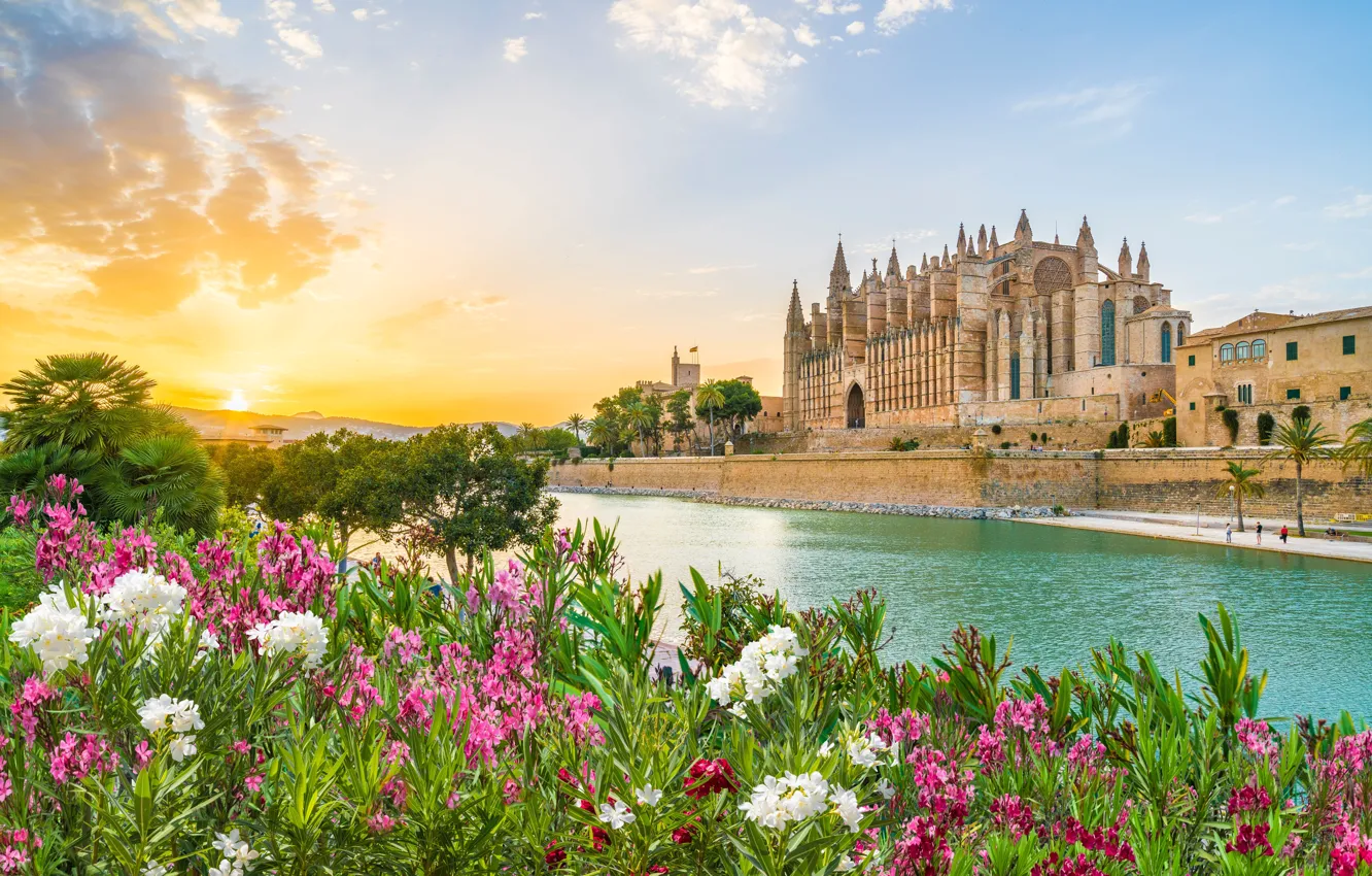 Photo wallpaper Flowers, River, Spain, Spain, Mallorca, Mallorca, Palma de Mallorca, Palma Cathedral