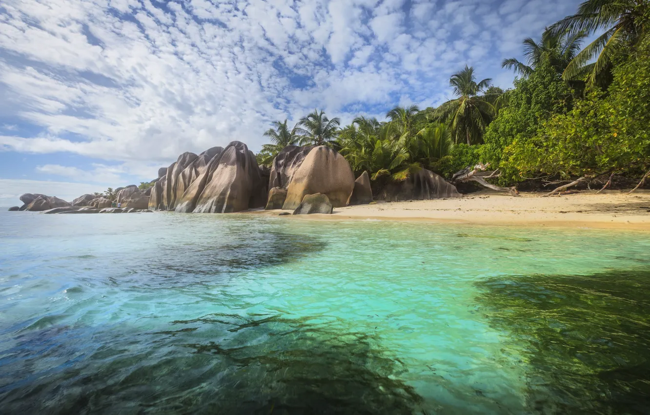 Photo wallpaper nature, tropics, space