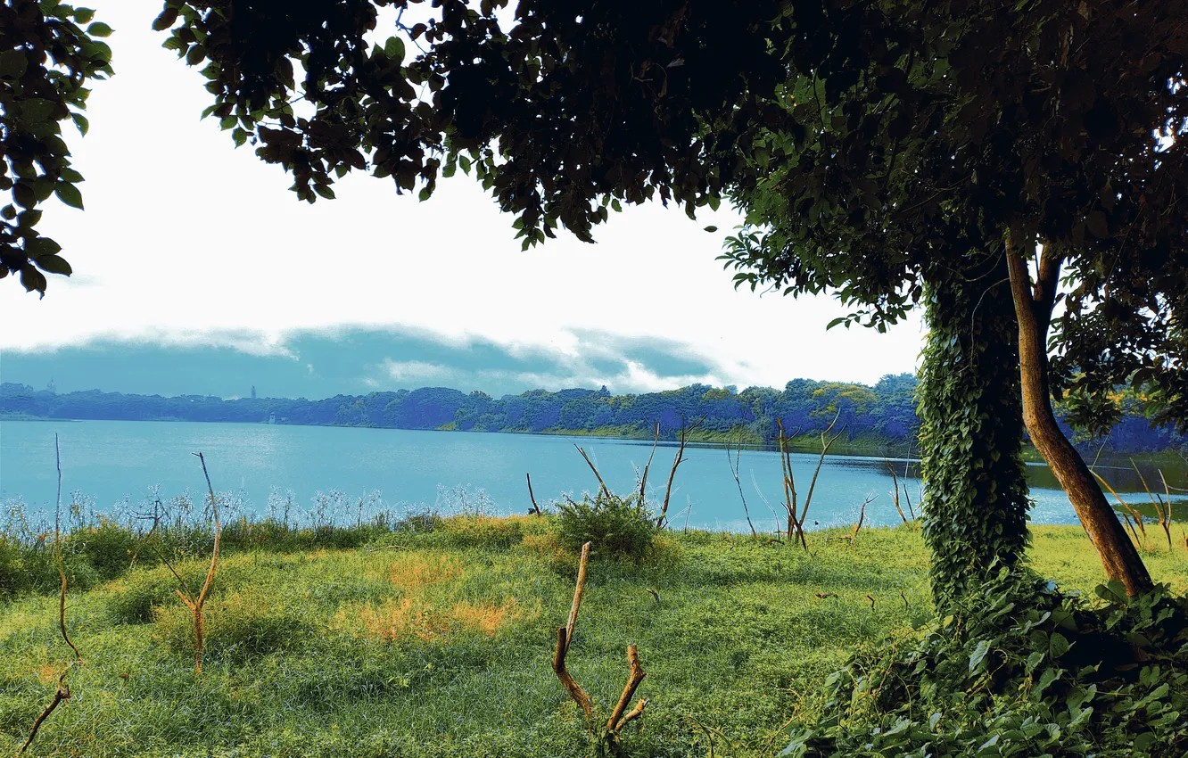 Photo wallpaper sky, trees, water, lake, morning, dawn, woods, reflection