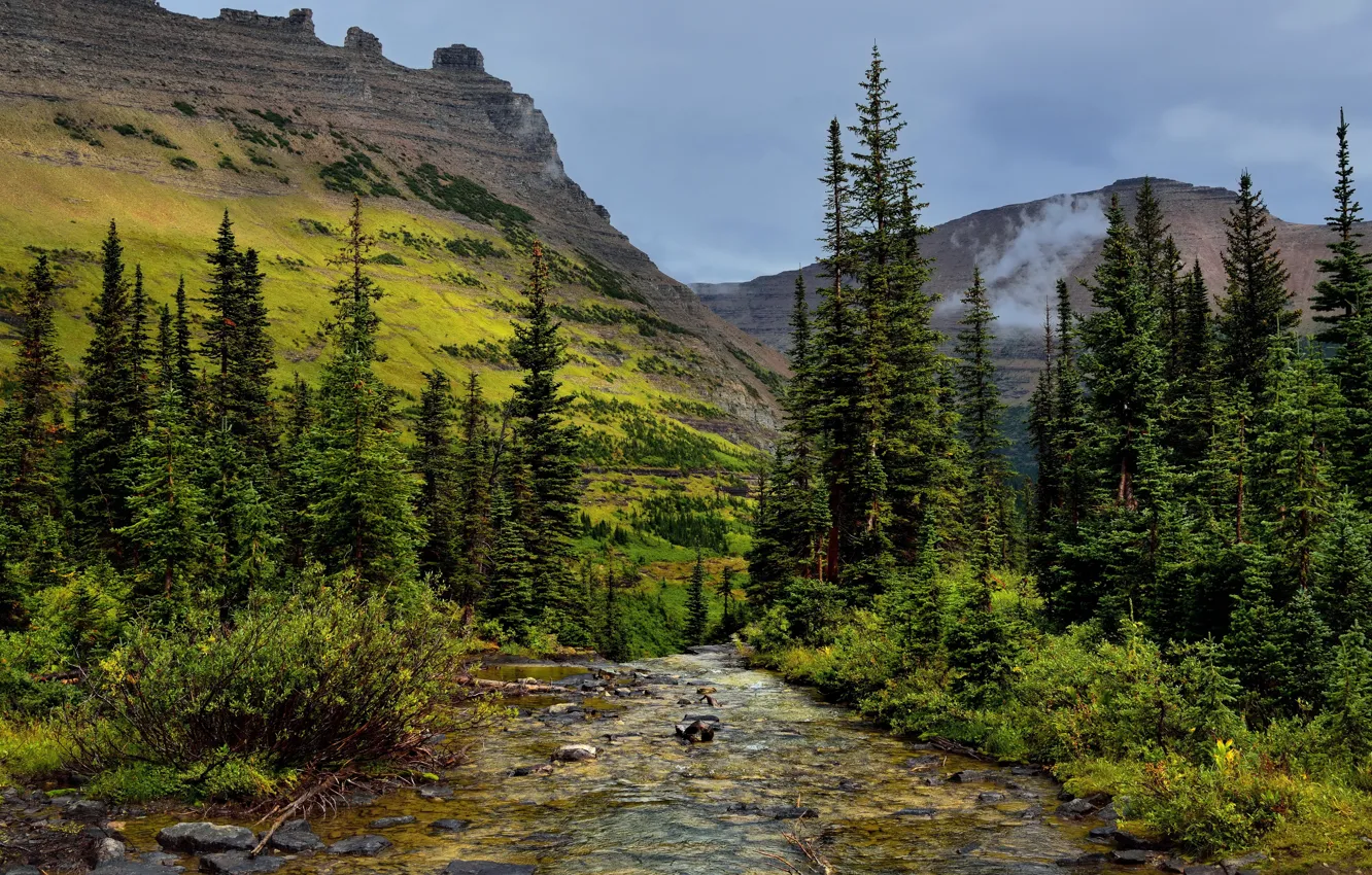 Photo wallpaper trees, mountains, stream, stones, rocks, USA, Glacier National Park