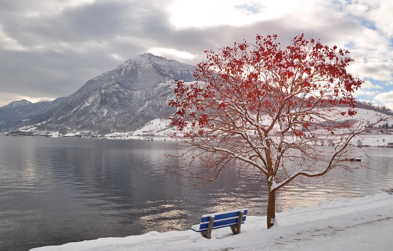 Photo wallpaper winter, mountains, river, tree, bench