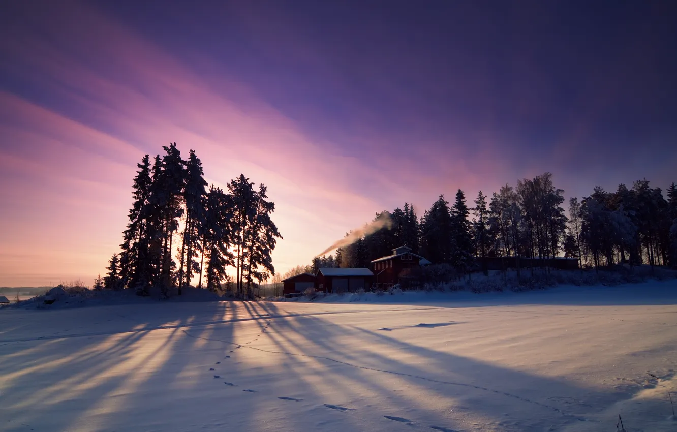 Photo wallpaper snow, trees, traces, home