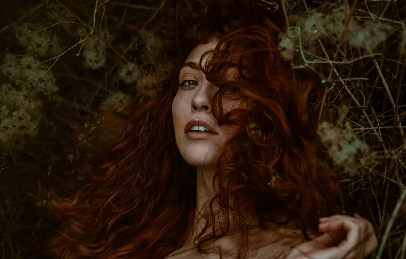 Photo wallpaper look, girl, face, hair, brown hair