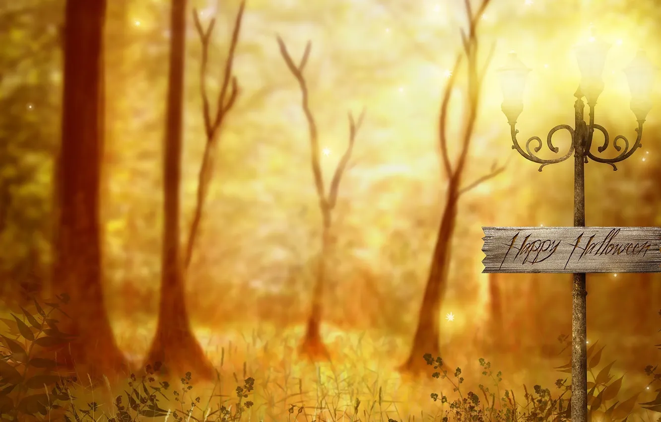 Photo wallpaper trees, Wallpaper, mood, holidays
