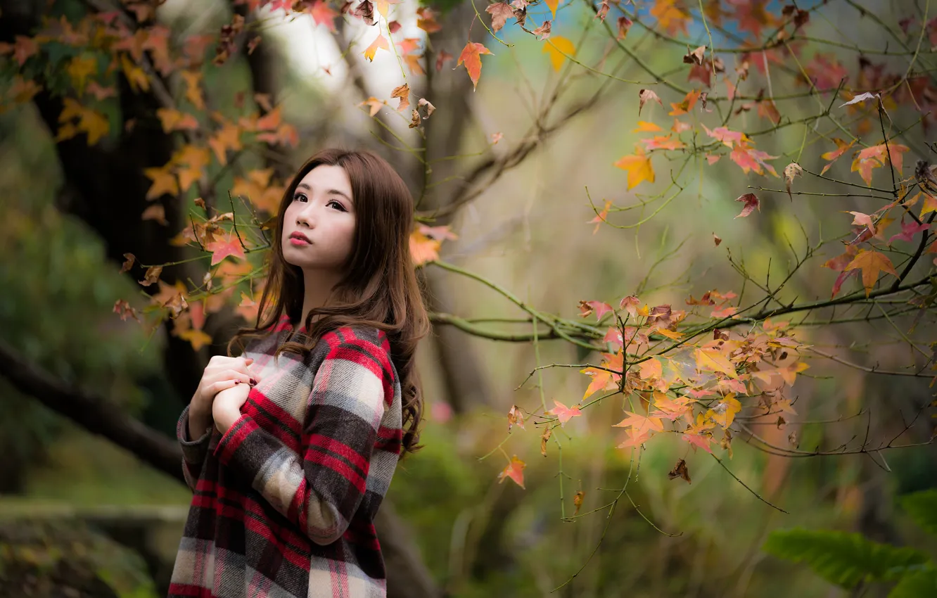 Photo wallpaper autumn, leaves, girl, Asian, cutie, bokeh
