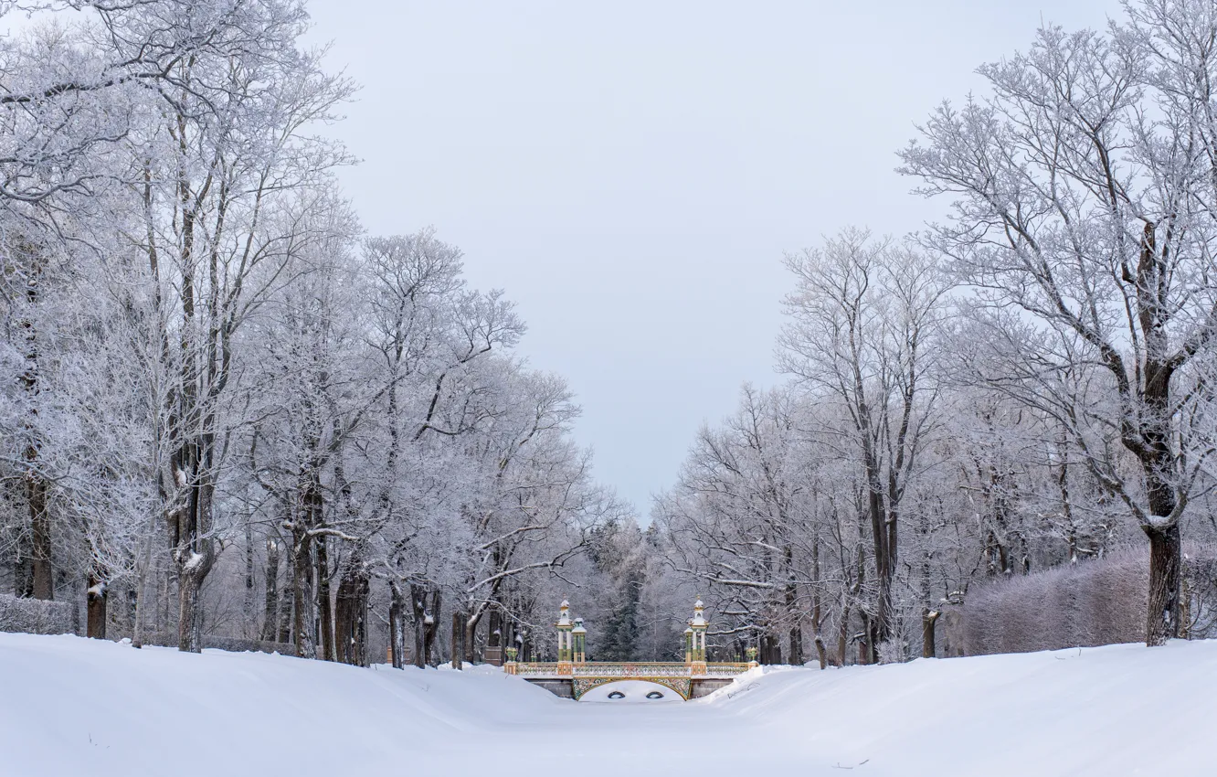 Photo wallpaper snow, bridge, frost, Catherine Park