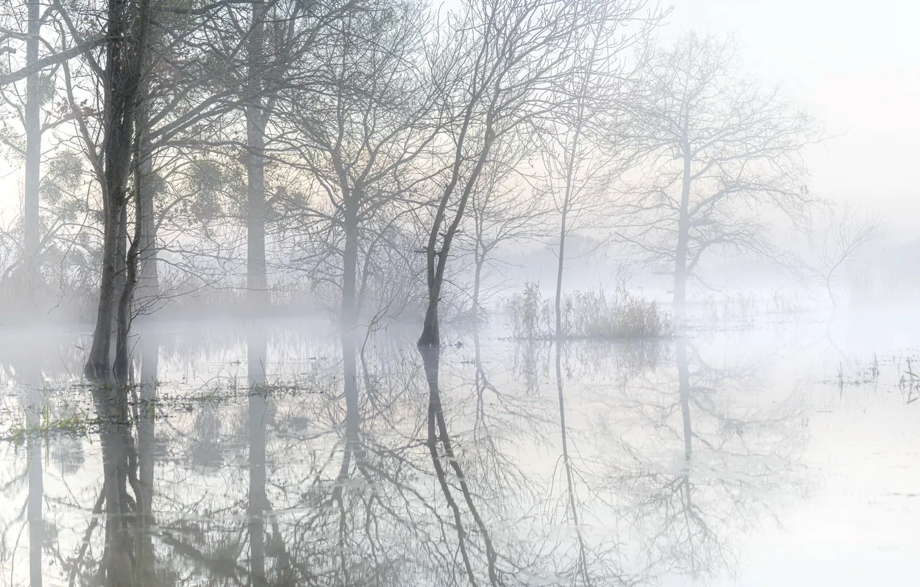Photo wallpaper nature, fog, lake