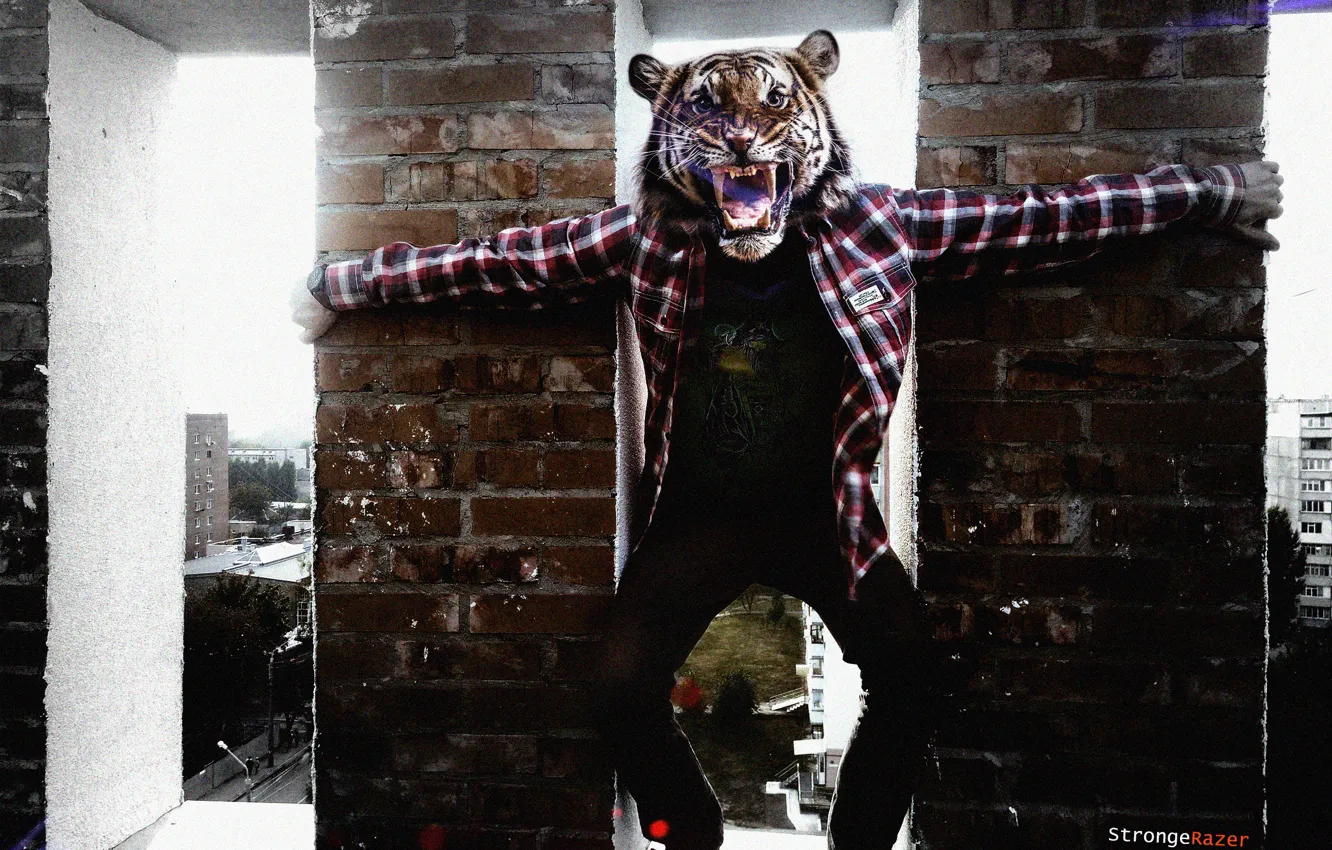Photo wallpaper roof, the city, tiger, posts, watch, people, home, window