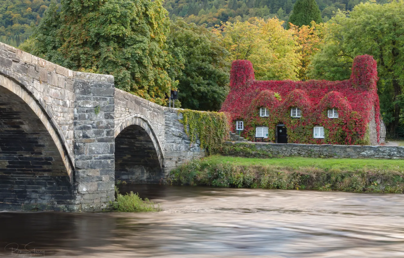 Photo wallpaper autumn, bridge, house, river, the building, England, England, Wales