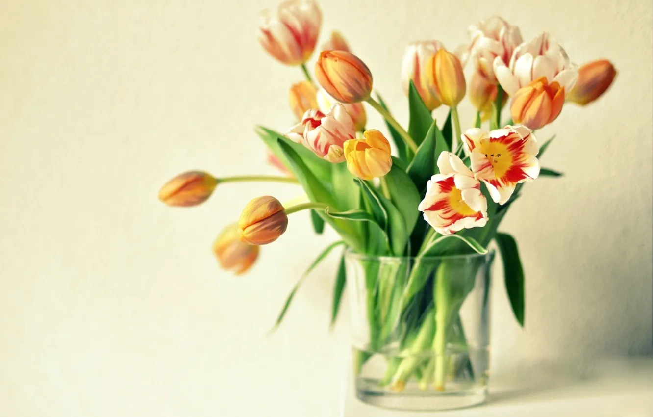 Photo wallpaper flowers, tulips, vase, orange
