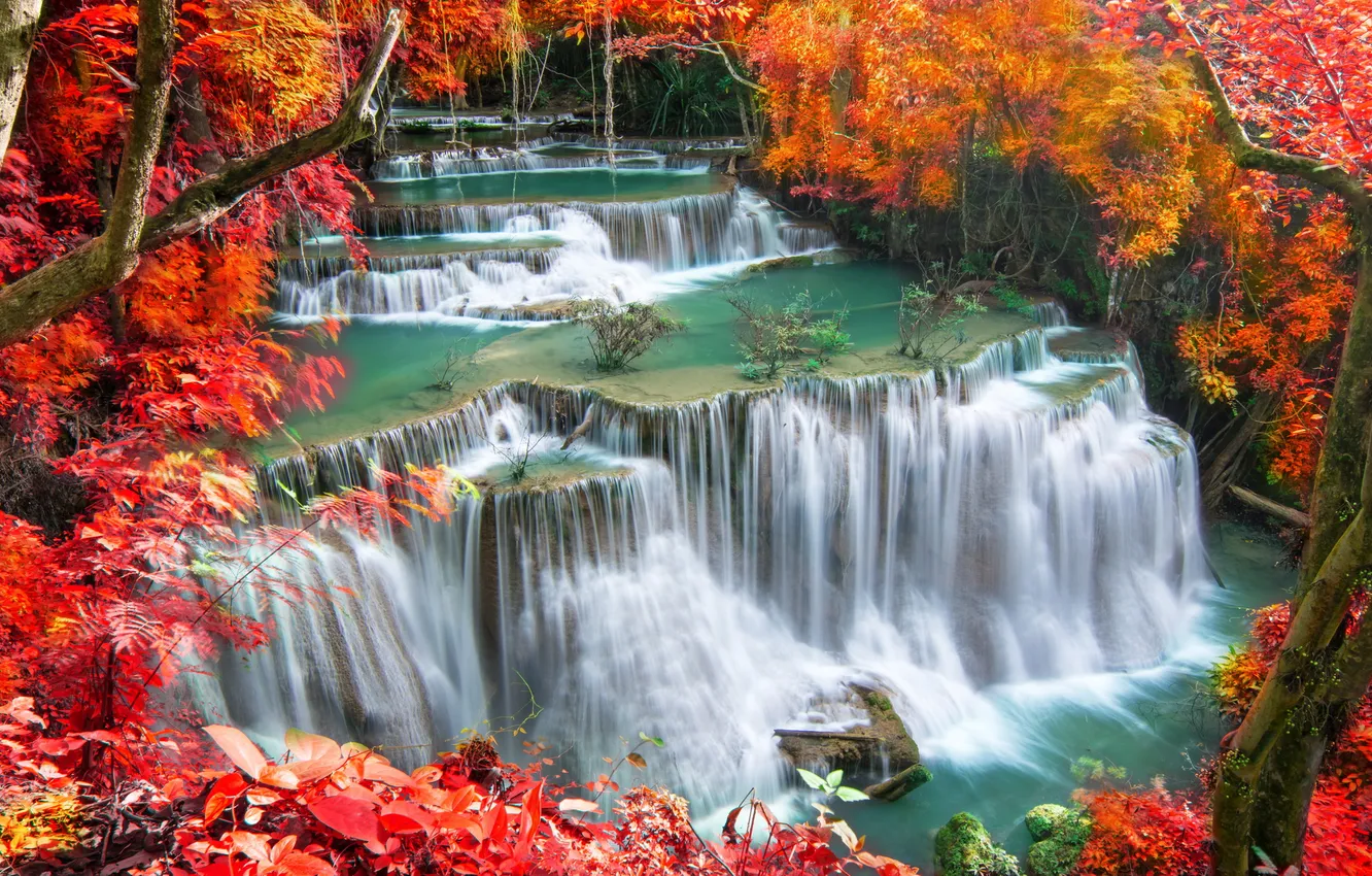 Photo wallpaper autumn, trees, branches, nature, rocks, shore, foliage, view