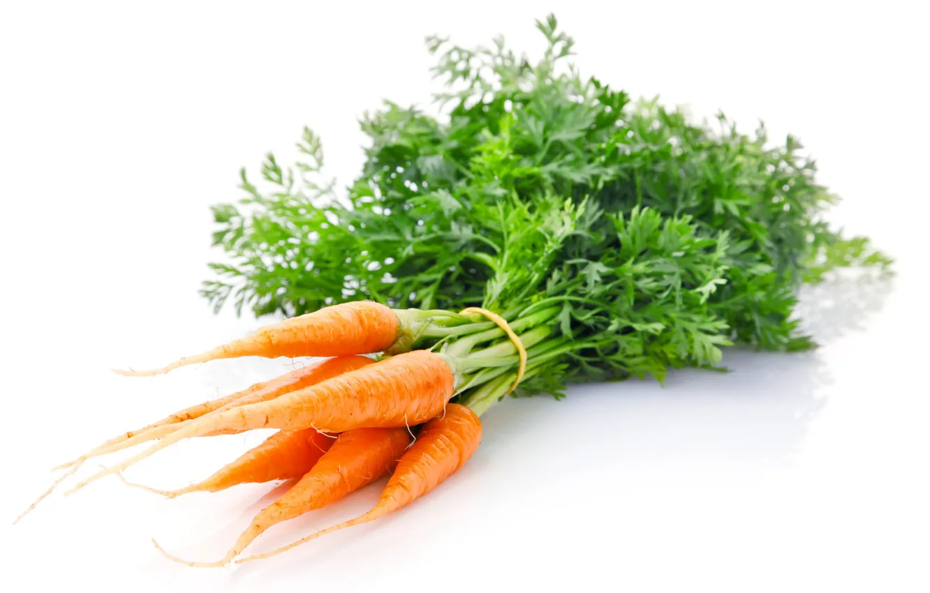 Photo wallpaper tops, white background, carrots