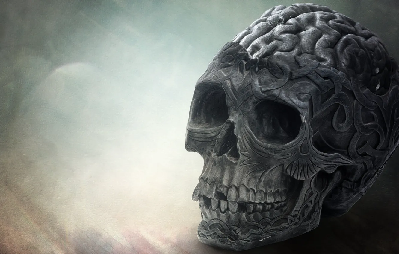 Photo wallpaper death, skull, brain