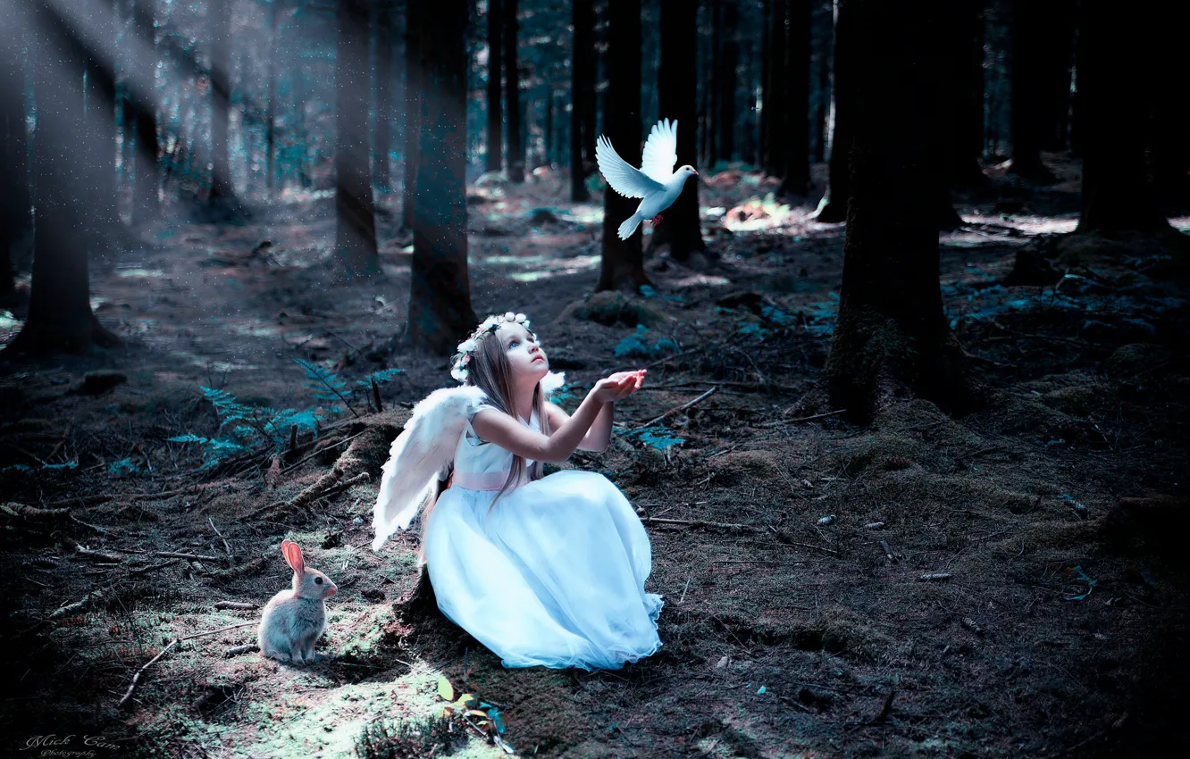 Photo wallpaper forest, bird, hare, girl