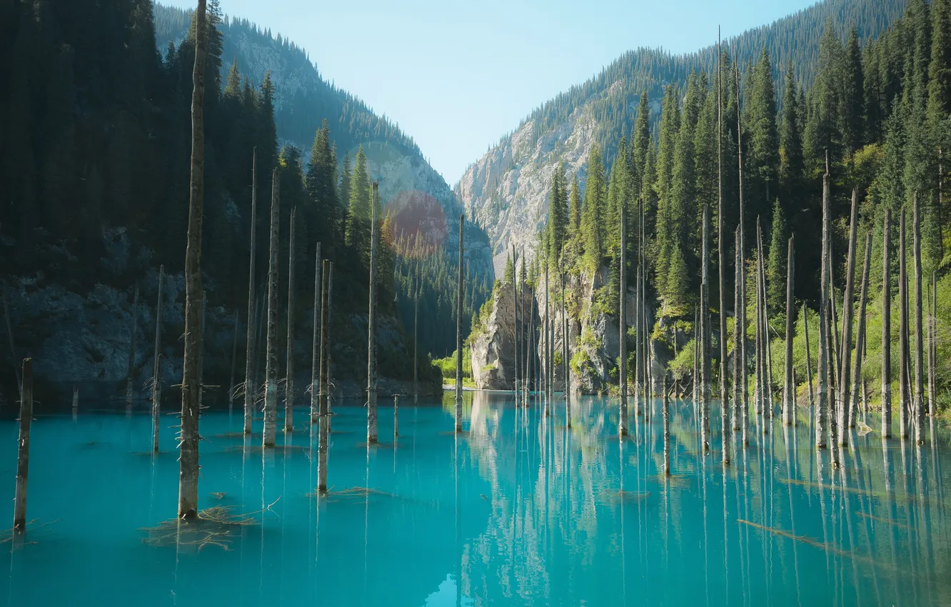 Photo wallpaper forest, Kazakhstan, kaz, Exploring, iceland landscape, kaindy