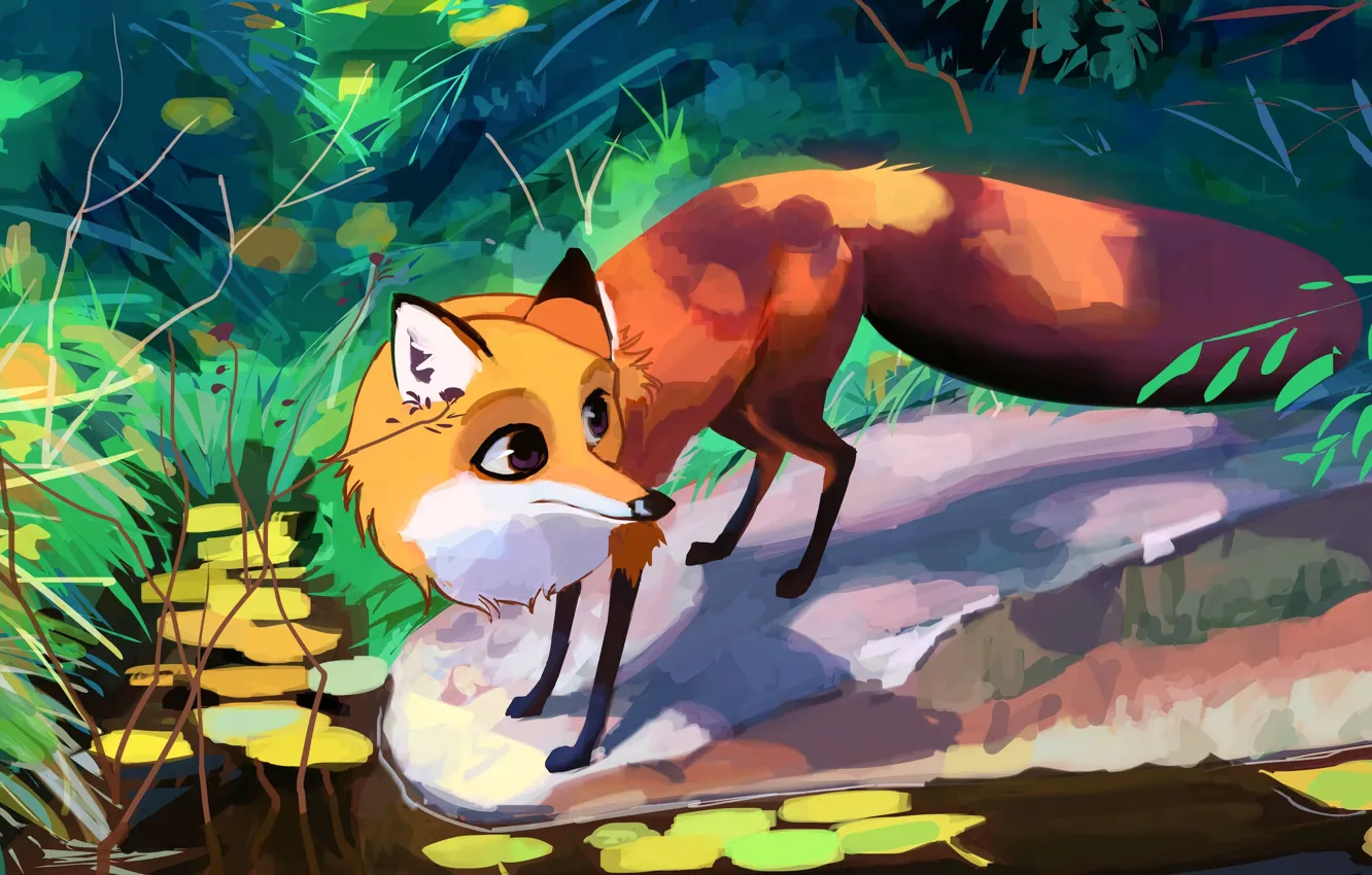 Photo wallpaper forest, grass, leaves, water, stones, Fox, Fox